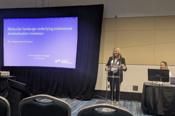 e57e9952-a8a5-4321-8b33-db268f3d1148