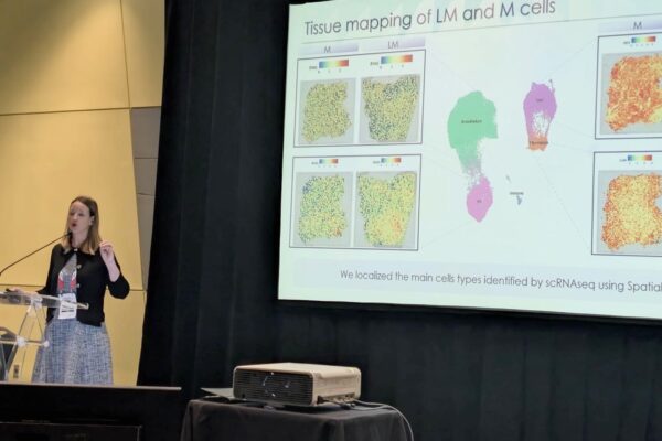 f91a8381-c943-455c-8c3d-bce95db68a43